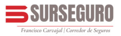 SURSEGURO